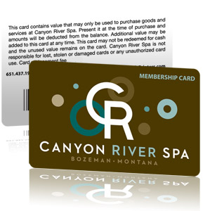 PVC Card Plastic Card Membership Card Loyalty Card Discount Card ID Card Priority Card Access Card Printing Manufacturer Malaysia Custom Spa Plastic membership Card Printing